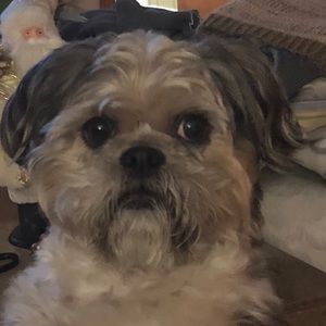 Meet your Posher, Jean